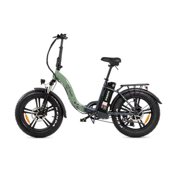 Electric Bike Youin PORTO II Green 250 W