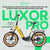 Bicicletta Elettrica Youin BK1750 LUXOR II PRO A/N Giallo 250 W