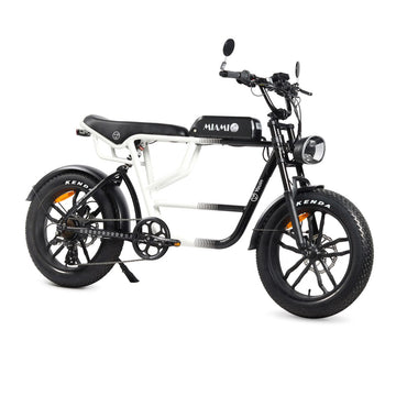 Bicicletta Elettrica Youin BK7000 MIAMI 250 W 20"