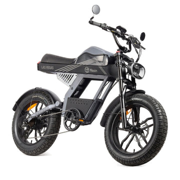 Bicicletta Elettrica Youin BK7100 LAS VEGAS 250 W 20"