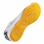 V3H43AECED25E6583581A4A7D5CC1C0CCCDR6072970P2