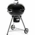 Barbecue Portable Fieldmann FZG 1016 Metal Steel