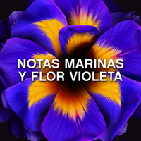 V2H4A75672F1C6A14738516DA0C910C776BR6986296P3
