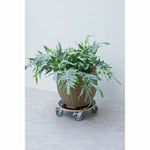 V4HBAFB39A69FBD93C0B691FDCC11D036AER6685373P2