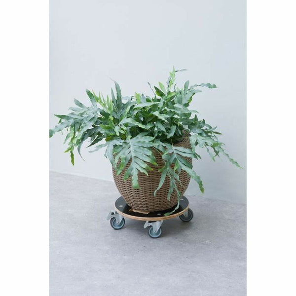 V4HBAFB39A69FBD93C0B691FDCC11D036AER6685373P2