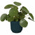 V7HC3E99CD5CD4D70DE5CDB7951B74CC2ACR3436796P3