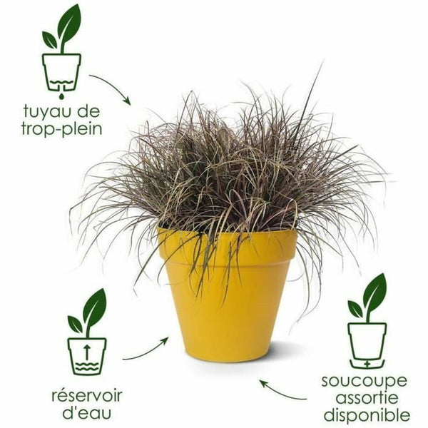 V3H890DAACAF6E138861C82DE9196CCB6EBR6746342P6