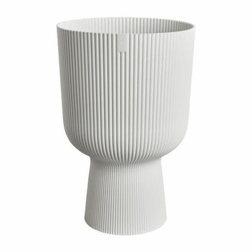 Vaso Elho