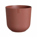Vaso Elho