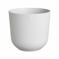 Vaso Elho