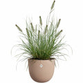 Plant pot Elho Sereh Rond 40 Brown 39 x 33 cm