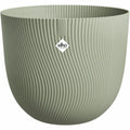 Vaso Elho