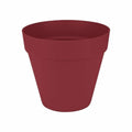 Vaso Elho