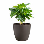 V2H9C8A8D964C77D0BA4B1F0F6C35FB4690R6746273P3