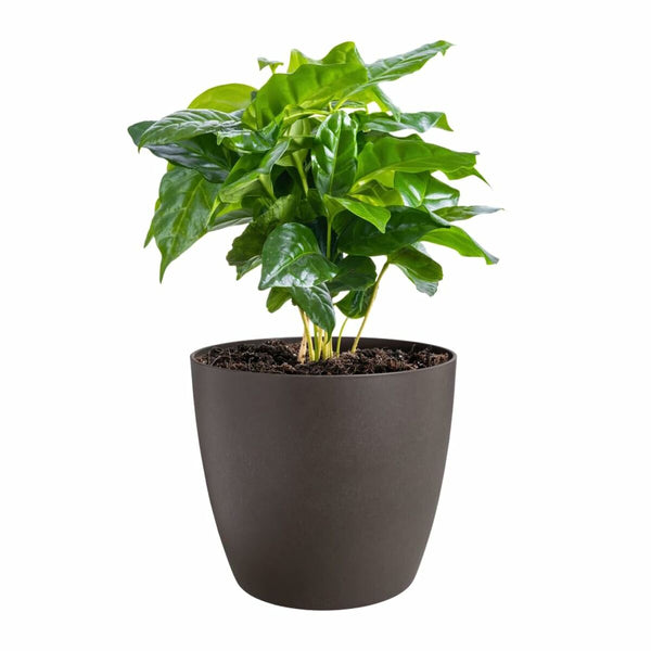 V3H9C8A8D964C77D0BA4B1F0F6C35FB4690R6746273P3