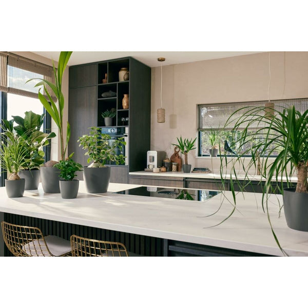 V2HCCA33E3EC9BAB3305DEC752CF60419E4R6746280P6