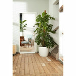 V2H8BBDFC5DF23C5AFAAA51BDA687B23FDFR6746301P3