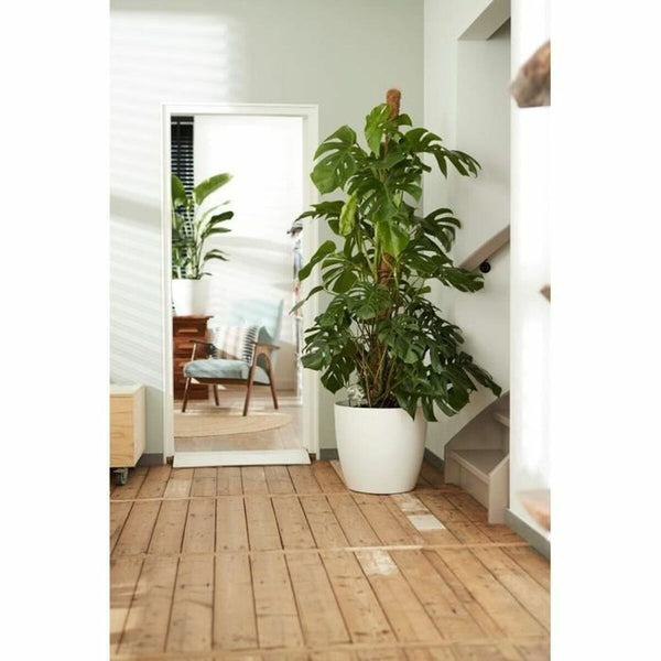 V3H8BBDFC5DF23C5AFAAA51BDA687B23FDFR6746301P3