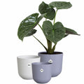 Vaso Elho Jazz Bianco Lilla Plastica Rotondo 3 Pezzi