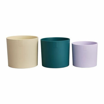 Vaso Elho