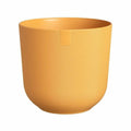 Vaso Elho