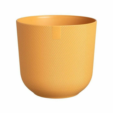 Vaso Elho