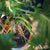 V4H8806723BBB9240019484CD95AB28FAB3R5081448P3