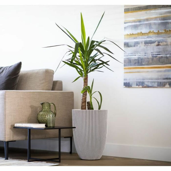 V4H028E4CBAE7389A16A6BF220D9FA4208FR4917130P3