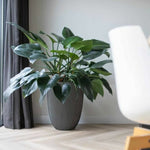 V4H4A64F1F80F8314374B8949CECF452ECFR5081460P3