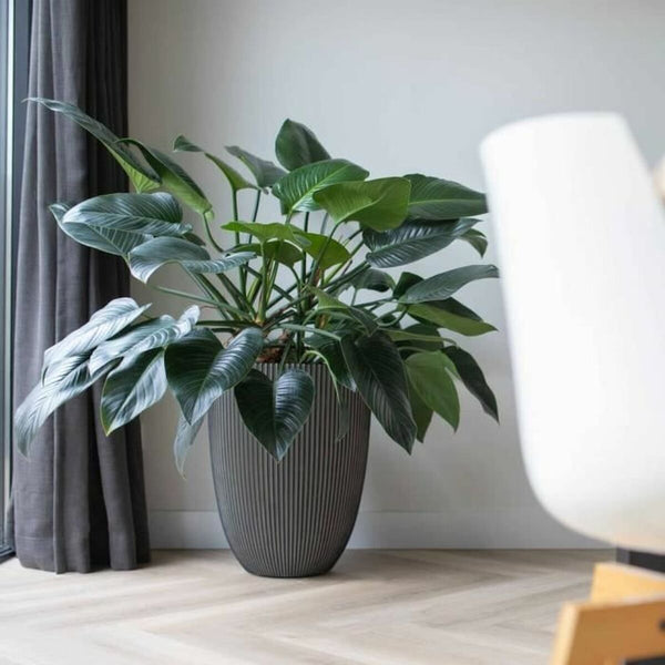 V4H4A64F1F80F8314374B8949CECF452ECFR5081460P3