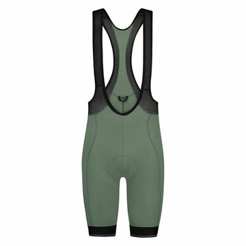 Culotte Shimano Dinamico Verde