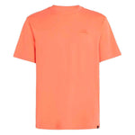 Maglia a Maniche Corte Uomo O'Neill Small Logo Arancio