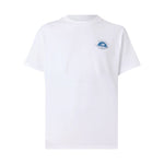 V3H2DBE0A2EC4ECC51562EBAF7775DDD823R6953169P1