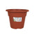 Vaso Dem Greentime Rotonda Marrone ø 20 x 15,75 cm (12 Unità) - Augustea Shop