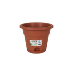 Vaso con Piatto Dem Greentime Marrone 20 x 20 x 16 cm (12 Unità) - Augustea Shop