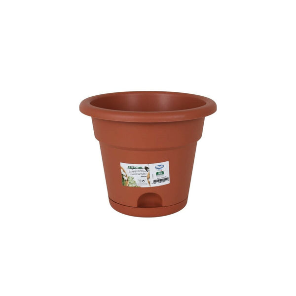 Vaso con Piatto Dem Greentime Marrone 20 x 20 x 16 cm (12 Unità) - Augustea Shop