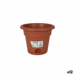 Vaso con Piatto Dem Greentime Marrone 20 x 20 x 16 cm (12 Unità) - Augustea Shop