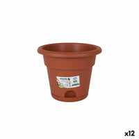 Vaso con Piatto Dem Greentime Marrone 20 x 20 x 16 cm (12 Unità) - Augustea Shop