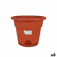 Vaso con Piatto Dem Greentime Marrone ø 35 x 28,5 cm (6 Unità) - Augustea Shop