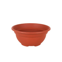 Vaso Dem Greentime Rotonda Ciotola Marrone ø 20 x 9 cm (12 Unità) - Augustea Shop
