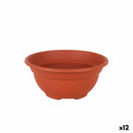 Vaso Dem Greentime Rotonda Ciotola Marrone ø 20 x 9 cm (12 Unità) - Augustea Shop