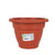 Vaso Dem Squares Rotonda Marrone 18 x 13,3 cm (6 Unità) - Augustea Shop