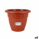 Vaso Dem Squares Rotonda Marrone 41,5 x 33 cm (6 Unità) - Augustea Shop
