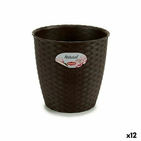 Vaso Stefanplast Plastica Cioccolato 19 x 17,5 x 19 cm (12 Unità) - Augustea Shop
