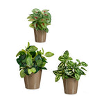 Set di Vasi Ibergarden LINCE PQ - 7006 Taupé Argilla (6 Unità) - Augustea Shop