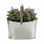 Vaso Ibergarden E51465-B Argentato Zinco Cestino 21 x 19,5 x 35,5 cm (12 Unità) - Augustea Shop