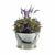 Vaso Ibergarden NAVI-AR-280 Argentato Zinco Secchio 25 x 30 x 26,5 cm (12 Unità) - Augustea Shop