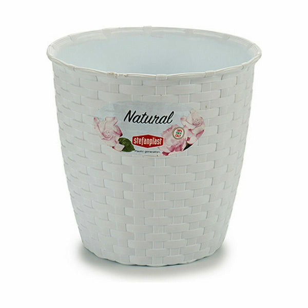 Vaso Stefanplast Bianco Plastica 14 x 13 x 14 cm (12 Unità) - Augustea Shop