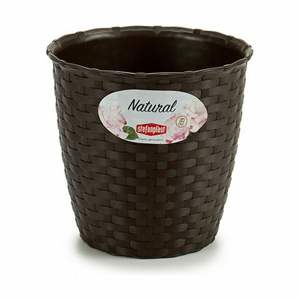 Vaso Stefanplast Plastica 14 x 13 x 14 cm (12 Unità) - Augustea Shop