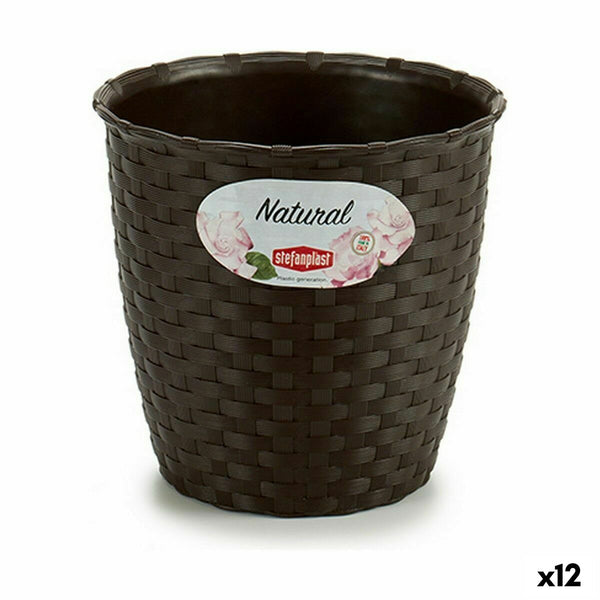 Vaso Stefanplast Plastica 14 x 13 x 14 cm (12 Unità) - Augustea Shop